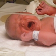 3.7 kg a 51 cm